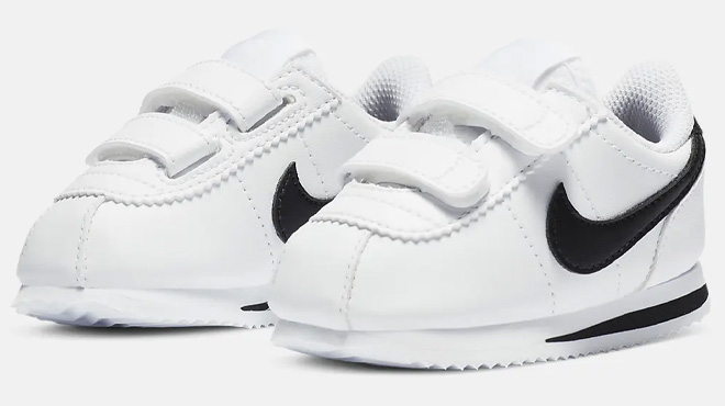 Nike Cortez Basic on White Background Nike Cortez Basic on White Background