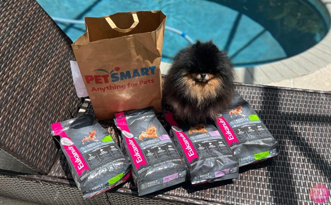 Pet Smart Dog Food