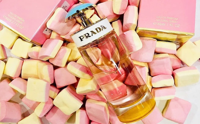 Prada candy kohls top