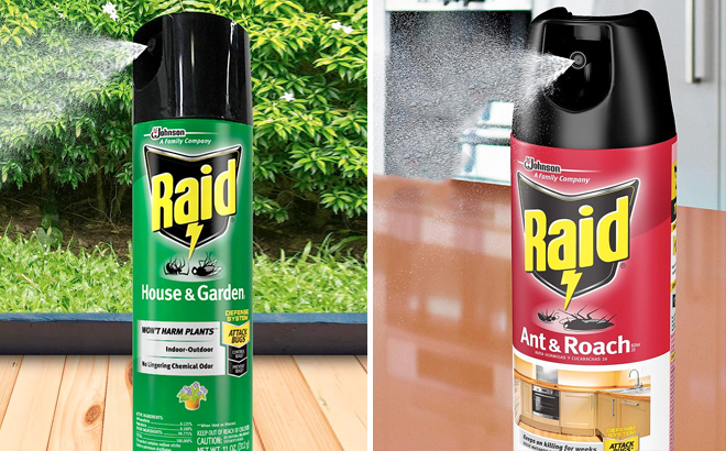 Raid House Garden Insect Killer Spray and Raid Ant Roach Killer 26