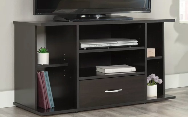 Sauder Beginnings Panel TV Stand