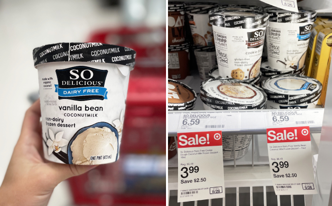 So Delicious Dairy Free Frozen Dessert with Price Tags