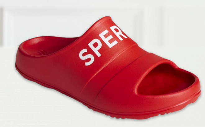 Sperry Mens Slide Logo Sandals in a Red Color