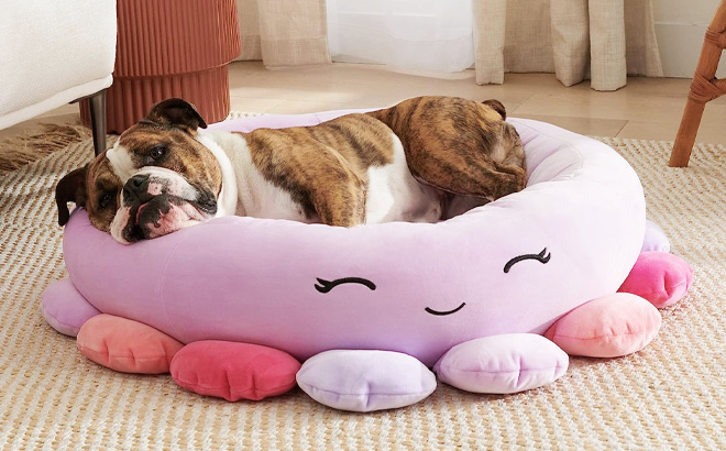 Squishmallows 24 Inch Beula Octopus Pet Bed 1