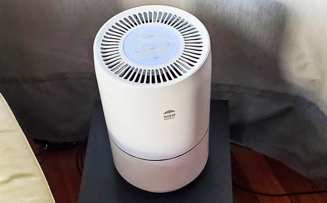 WBM Smart Air Purifier with HEPA filter