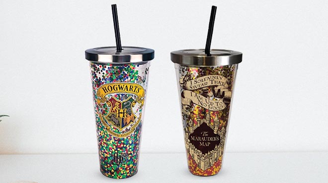 Warner Bros Glitter Harry Potter and Harry Potter Glitter 20 Ounce Tumblers