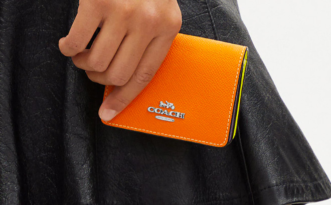 Woman is Holding a Mini Wallet On A Chain In Colorblock