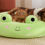 an Image of a Cat and Dog Lying on a Squishmallows 20 Inch Wendy Frog Pet Bed