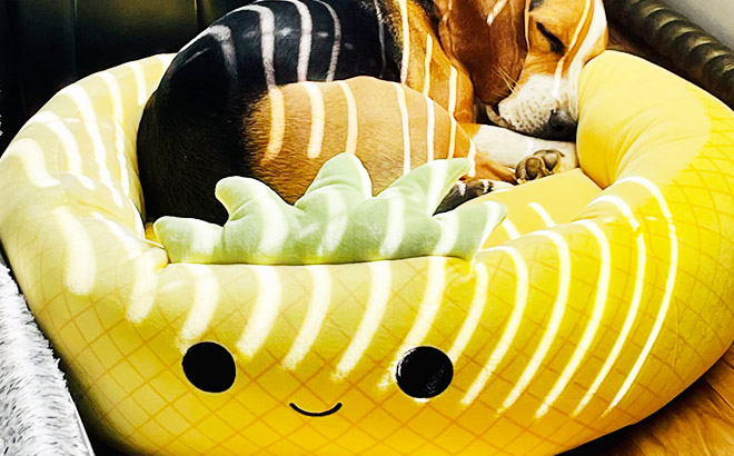 an Image of a Dog Sleeping on a Squishmallows 30 Inch Maui Pineapple Pet