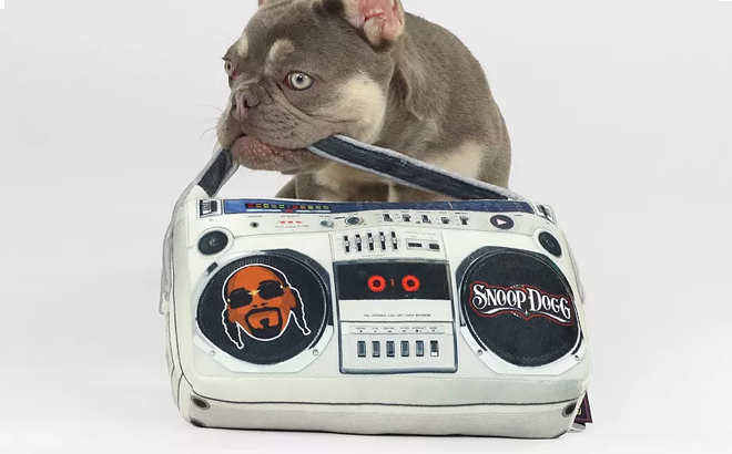 an Image of a Dog with a Snoop Doggie Doggs Boom Box Pet Toy