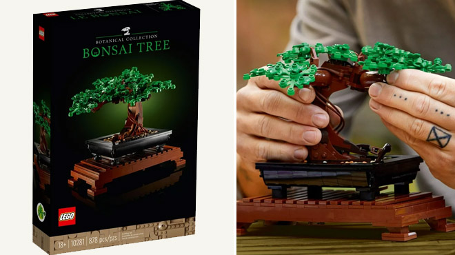 an Image of a LEGO Icons Bonsai Tree Building Set