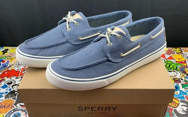 an Image of a Pair of Sperry Mens Bahama II Hemp Sneakers on Top of a Shoebox