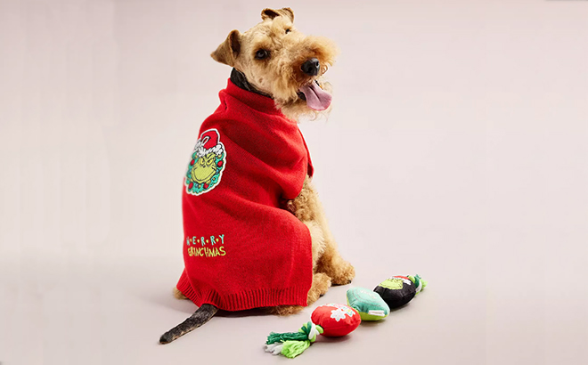 A Dog Wearing The Grinch Holiday Merry Grinchmas Sweater 1
