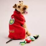 A Dog Wearing The Grinch Holiday Merry Grinchmas Sweater