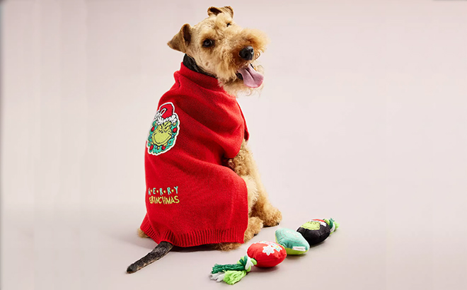 A Dog Wearing The Grinch Holiday Merry Grinchmas Sweater