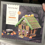 A Hand Holding Favorite Day Halloween Pre Built House Kit on a Shelf
