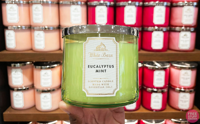 A Person Holding a Bath and Body Works 3 Wick Candle