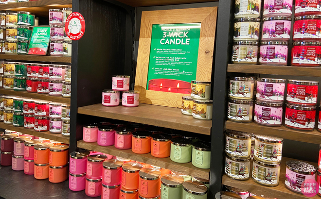 Bath Body Works 3 Wick Candles Overview