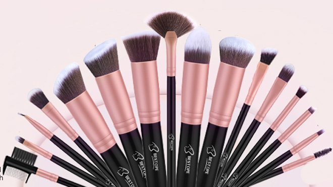 Bestope Pro 16-Piece Makeup Brush Set Bestope Pro 16-Piece Makeup Brush Set