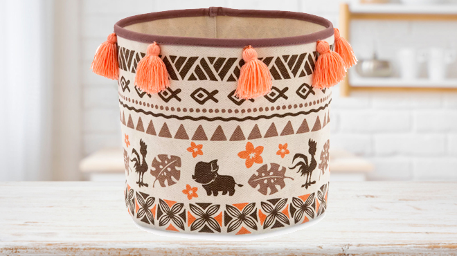 Disney Moana Planter Cover on top of a counter