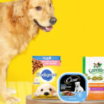 FREE PuppyWise Welcome Kit