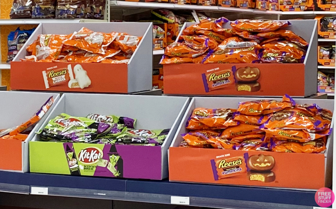 Halloween Chocolate Candy Bags Overview
