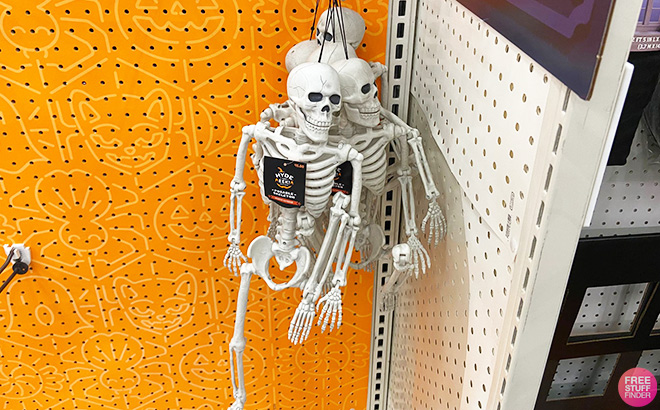 Hyde & EEK! Boutique 36-Inch Posable Skeleton Halloween Decorative Mannequin