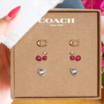 Hand Holding Coach Outlet Signature Cherry Heart Earrings Boxed Set