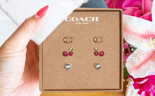 Hand Holding Coach Outlet Signature Cherry Heart Earrings Boxed Set