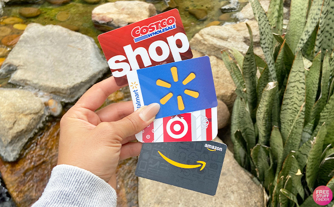 Hand Holding Costco Walmart Target and Amazon Gift Cards