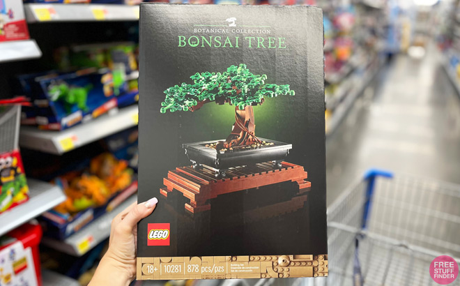 Hand Holding a LEGO Botanical Collection Bonsai Tree Set
