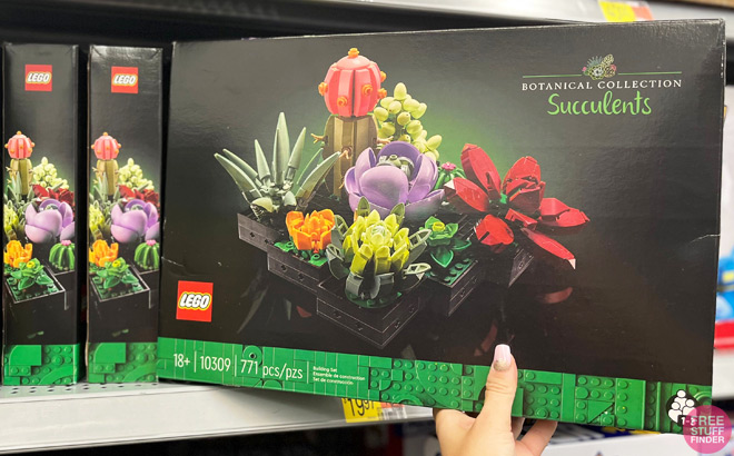 Hand Holding a LEGO Botanical Collection Succulents Set