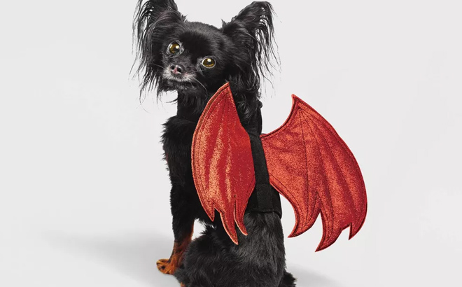Hyde EEK Rider Wings Halloween Pet Costume