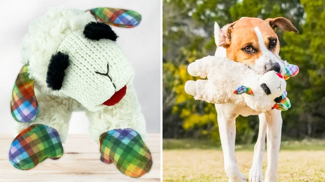Multipet Lamb Chop Plush Dog Toy on the Left and a Dog Playing with Same Item on the Right