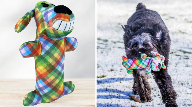 Multipet Smiling Loofa Plush Dog Toy on the Left and a Dog Playing with Same Item on the Right