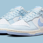 Nike Dunk Low Next Nature Womens Shoes