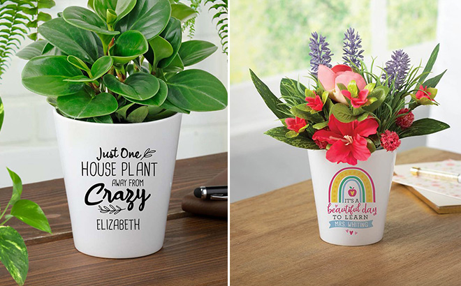 Personalized Planet 'Just One House Plant' Personalized Planter 