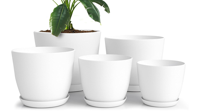 Plastic Plant Pots 5 Pack in White Color Plastic Plant Pots 5 Pack in White Color