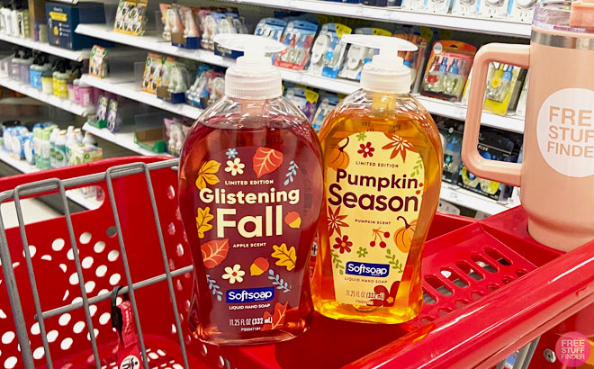 Softsoap Glistening Fall and Pumpkin Season Hand Soap 1