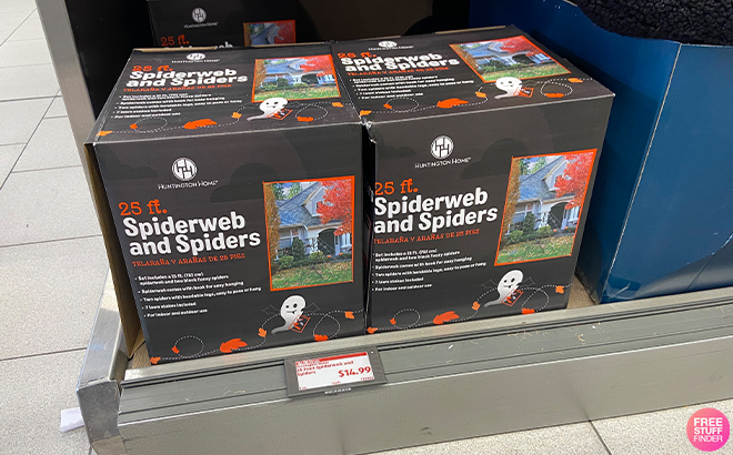 Spiderweb and Spiders on a Box