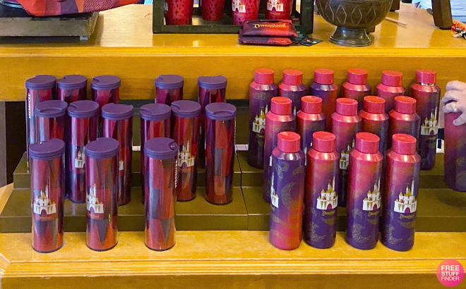 Starbucks Disneyland Travel Tumbler and Water Bottle on a Shelf