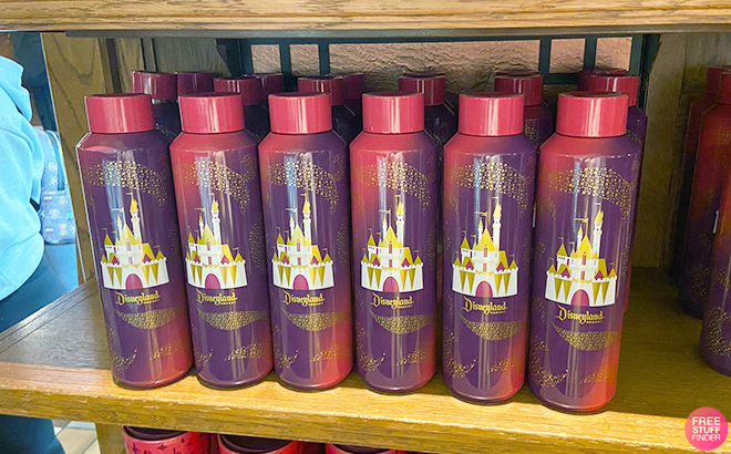 Starbucks Disneyland Water Bottle on a Shelf