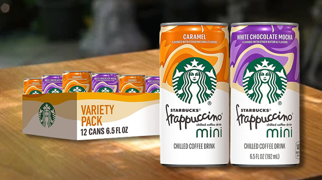 Starbucks Frappuccino Mini 2 Flavor Variety Pack