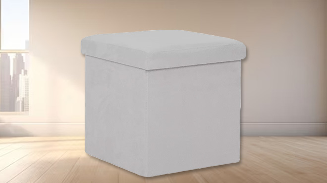 The Big One Collapsible Storage Ottoman