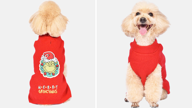 The Grinch Dog Sweater