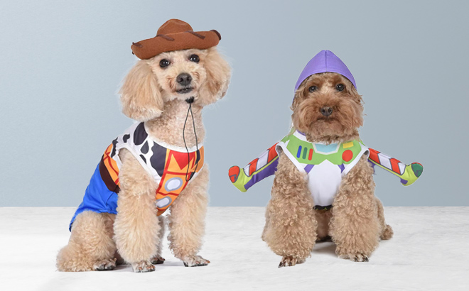 Two Dogs Wearing Disney Toy Story Pet Costumes