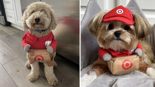 Two Dogs Wearing Hyde EEK Target Delivery Halloween Pet Costume
