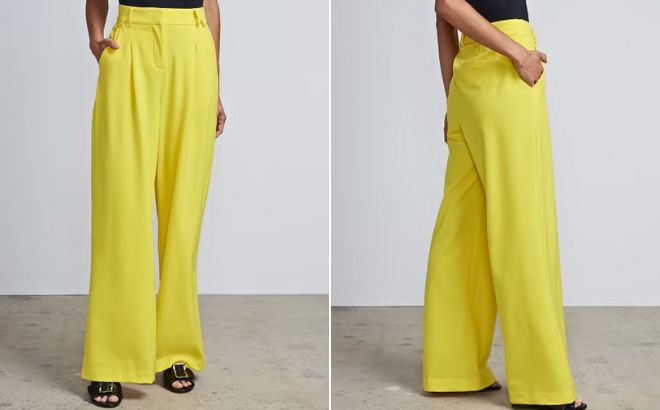 Woman is Wearing NY and Company Wide Leg Pants in Yellow Zing Color
