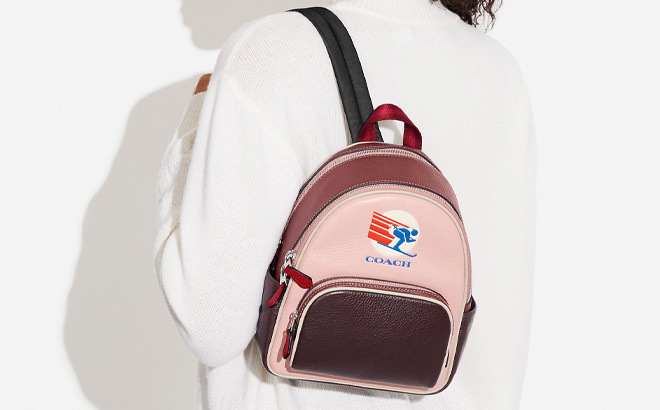 Woman is Wearing a Mini Court Backpack In Colorblock With Ski Speed Graphic