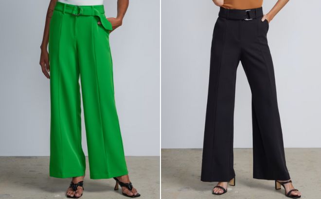 Woman is Wearing a NY and Company High Rise D Ring Belt Wide Leg Pants in Gramercy Green and Black Color